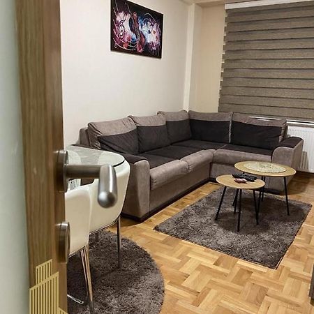Mirkovic Lux Apartman Ni 外观 照片