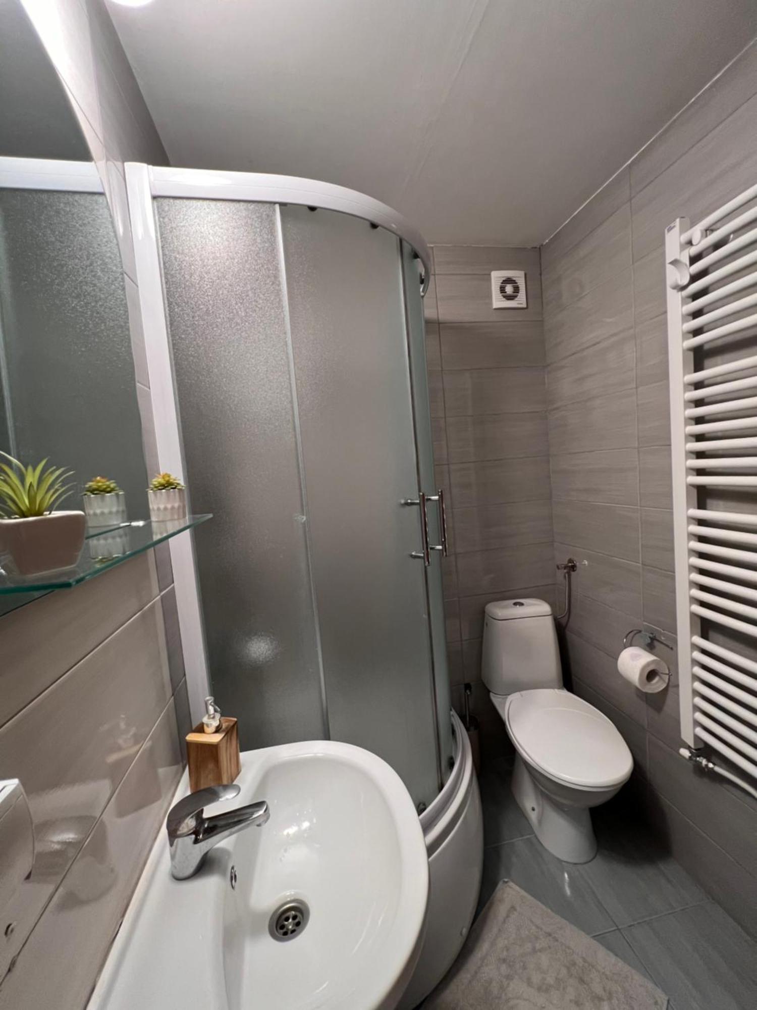 Mirkovic Lux Apartman Ni 外观 照片