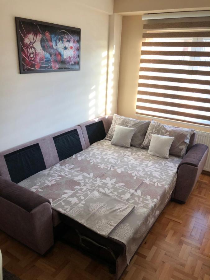 Mirkovic Lux Apartman Ni 外观 照片