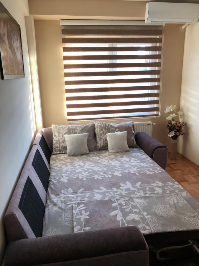 Mirkovic Lux Apartman Ni 外观 照片